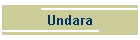 Undara