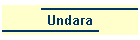 Undara